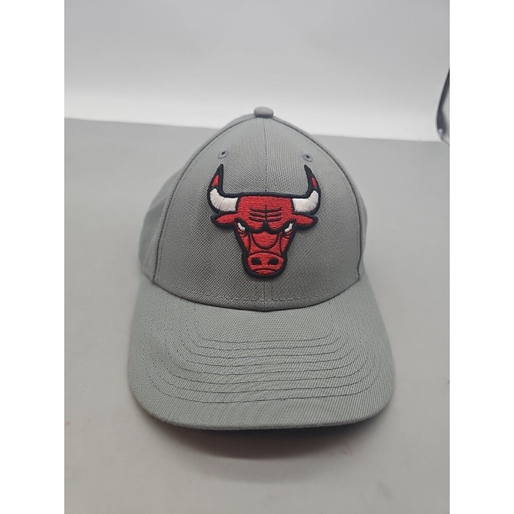 Chicago Bulls Mitchell & Ness NBA Snapback Hat Cap 3D Logo Gray Youth